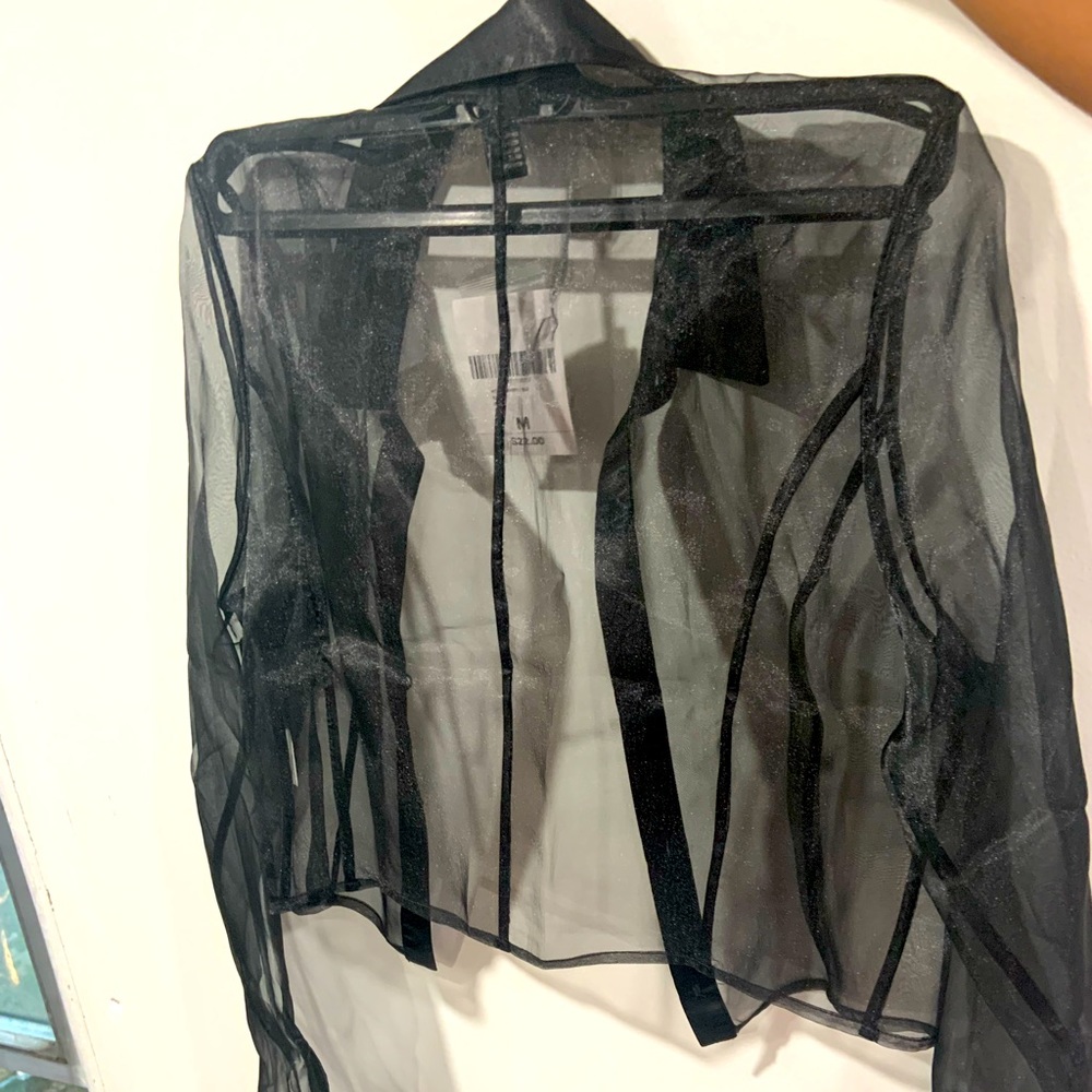 Forever 21 sheer organza crop top